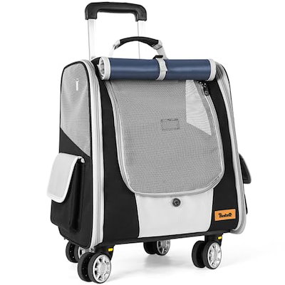 FFC パイロゲン 2025年賞味期限