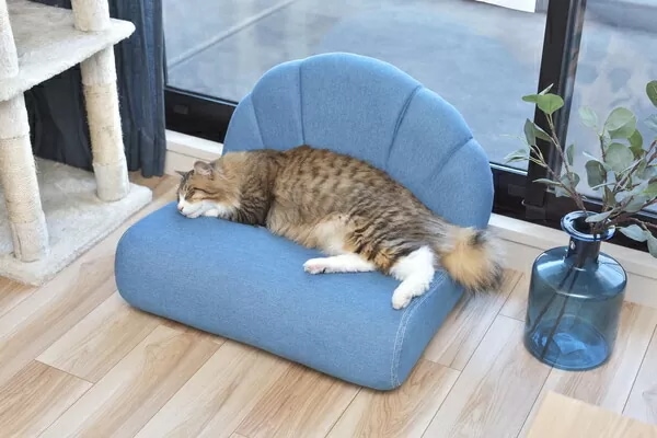 東谷 ペット ソファ W59D50H40SH18cm ブルー 木フレーム コットン 犬 猫 完成品 PET-65