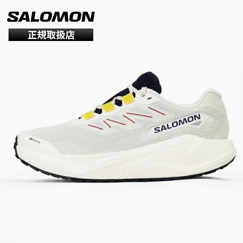 サロモン SALOMON スニーカー メンズ AERO BLAZE 3 GRVL GTX ランニングシューズ 靴 ゴアテックス GORE-TEX 防水ブランド [正規取扱店]