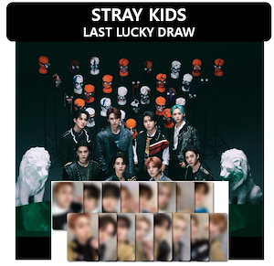 straykids 樂-star