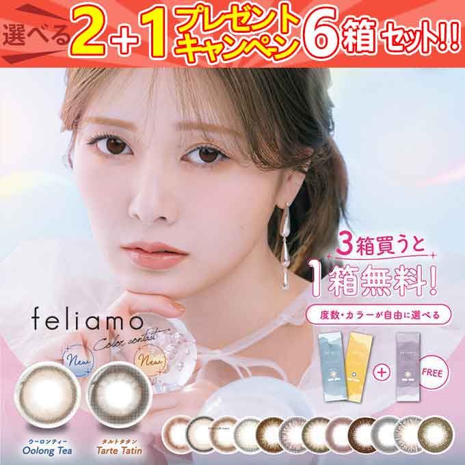 4箱＋2箱！【合計6箱60枚】カラコン 1day feliamo フェリアモ ワンデー inter 度なし 度あり 14.2mm 14.5mm