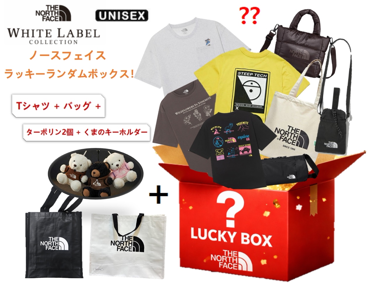 ノースフェイス ランダムラッキーボックス！(Tシャツ 1枚 + バッグ 1個 + ターポリンバッグ 2個 + くまのキーホルダー)