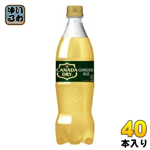 コカ・コーラ カナダドライ ジンジャーエール 700ml ペットボトル 40本 (20本入×2 まとめ買い) 炭酸飲料 ジンジャエール ノンカフェイン 甘さ控えめ 後味スッキリ