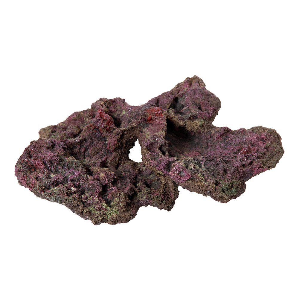 ＯＲＣＡ　ＯＣＥＡＮ　ＲＯＣＫ　３１　３０X２０X１２ｃｍ　ライブロックレプリカ　ＣＲＣ10―35―90―30―00