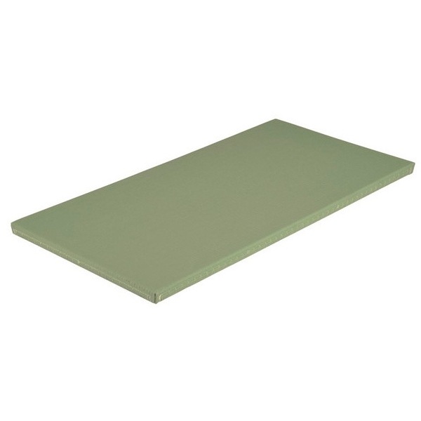 エバニュー EKR061 527 全柔連公認畳(1×2) ワサビ メーカー直送 33,963円