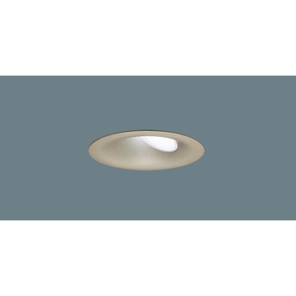 LRD1312NLE1 [ダウンライト60形昼白色プラチナ]