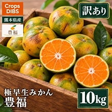 極早生みかん 豊福 訳あり サイズ混合 箱込約10kg 熊本県産 産地直送