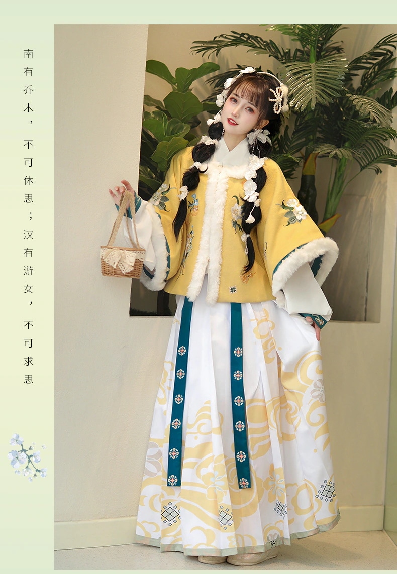 南源明代漢服中国風結婚式服冬改良厚く暖かい新年衣装大晦日服