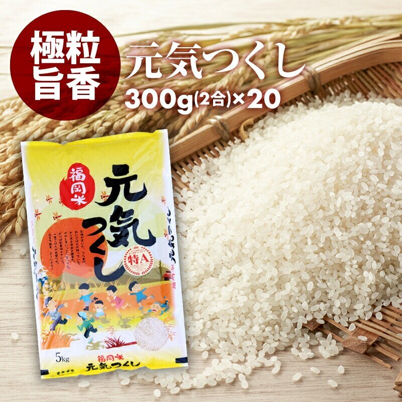 [前田家] 無洗米 プロが選ぶ 一等米　米 食味ランク 特A 元気つくし 2合 (300g) 20パ