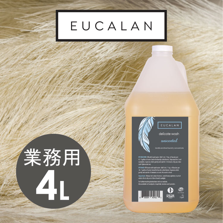 ナチュラル（無香料） 大容量4L すすぎ不要 エコ洗濯洗剤 デリケート衣類 下着 オシャレ着洗い