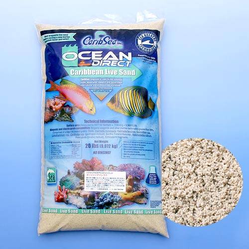 カミハタ　カリブシー　オーシャンダイレクト　オーライト　２０ｌｂｓ（約９．０７ｋｇ）　お一人様２点限り　ＣＲＣ21―30―70―20―00