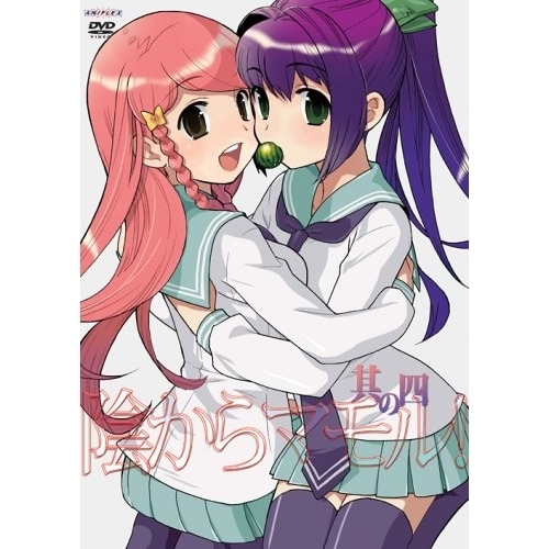 陰からマモル! 其の四 (DVD) ANSB-7224