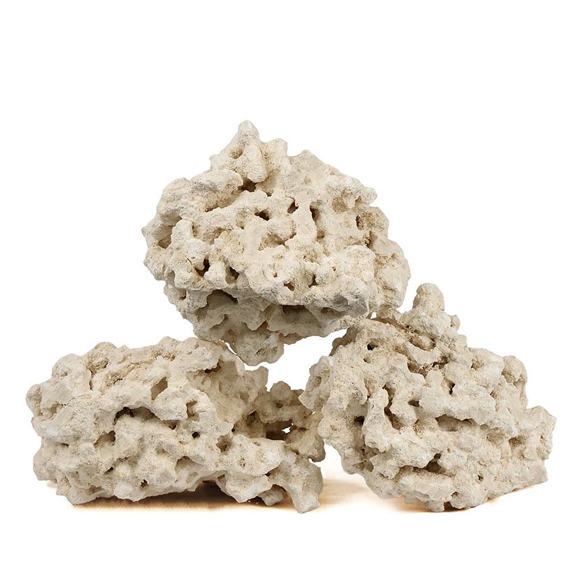 マルコロック　リーフセーバー　エッジレス（Ｅｄｇｅｌｅｓｓ）　Ｍサイズ　４ー５ｋｇ　サンゴ　石　海水　水槽　飾り　レイアウト　ＣＲＣ21―20―90―00―00