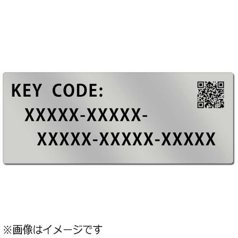 パナソニック　Panasonic　アップグレードソフトウェアキー　DMW‐SFU1