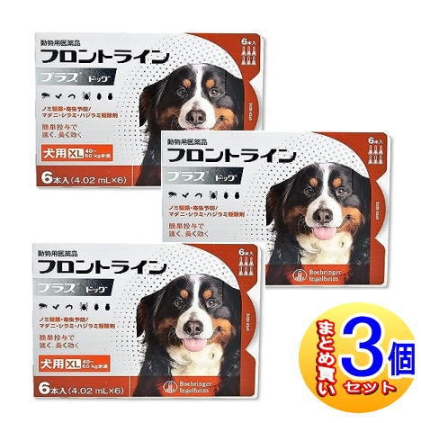 10％OFFクーポン】フロントラインプラス 犬用 M (10〜20kg) 6本入 2箱 