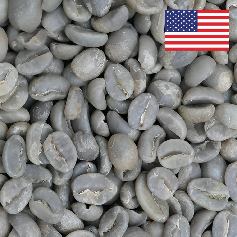 コーヒー生豆 1kg ハワイコナ プライムウオッシュド 大山珈琲