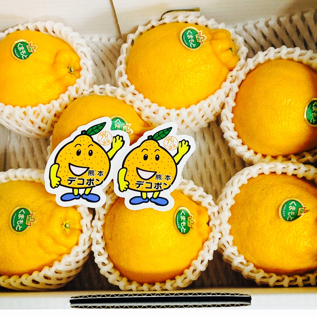 熊本県産 JAデコポン 約2 キロ 秀品 【002】ギフト 贈り物 フルーツ お取り寄せ みかん 蜜柑 ミカン 高級 熊本 柑橘類