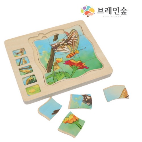 ブレインフォレスト生態成長パズル - 蝶幼稚園の子供の家学院教授教区団体の創造性 4,642円