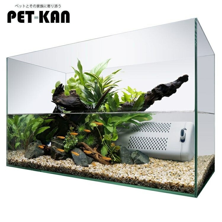 【目玉商品】テトラ サイレントフレックスセット 60 アクアリウム 水槽 熱帯魚 メダカ めだか 金魚 きんぎょ 海水魚 観賞魚 水中フィルター 【D】【B】