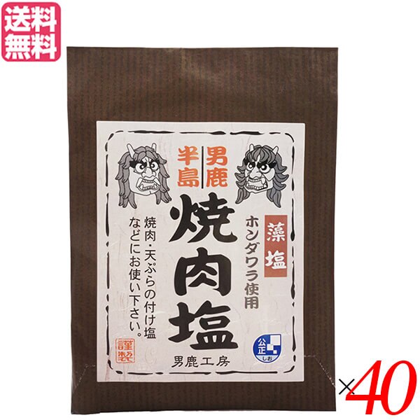 塩 天然塩 食塩 男鹿半島 焼肉塩 40g 40個セット 男鹿工房