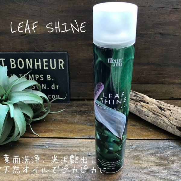 リーフシャイン 葉面洗浄光沢スプレー ツヤツヤに LEAFSHINE