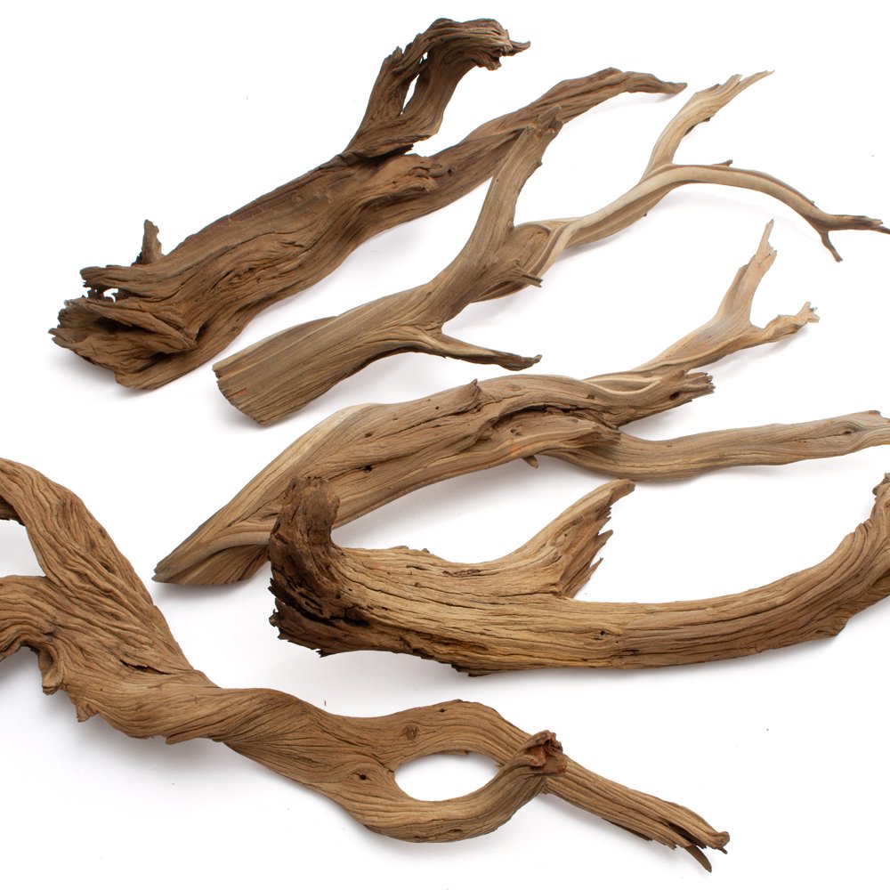 形状お任せ　煮込み済み　ゴーストウッド　Ｌサイズ（約６０ー８０ｃｍ）　５本　レイアウト素材　流木　ＣＲＣ21―10―20―30―00