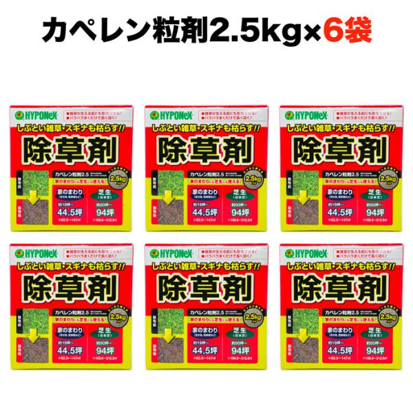 除草剤 強力 粒剤 顆粒 カペレン粒剤2.5 6袋セット 芝生にも使用可能 土壌処理型 DBN粒剤 雑草を長期間抑える スギナやヨモギに使える 粒タイプ 粉末