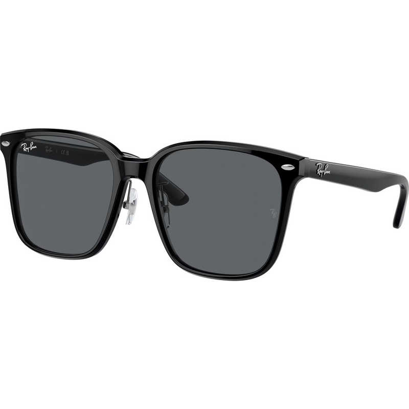 レイバン　サングラス (Low Bridge Fit) RB2206D 901/87 57mm ブラック/ダークグレー