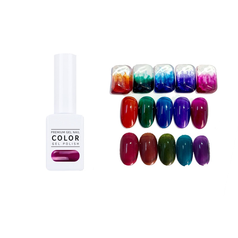 [THE GEL] Rich Brew Clear Color Gel 10color 1SET