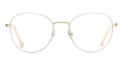 安井曾太郎、【薔薇】、新品高級額 額装付、年代物・希少画集画、状態