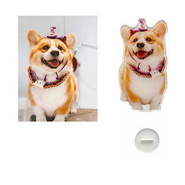 【ご確認用】テテアクスタ デデデ大王のデデデでデンZ／Dedede's Drum Dash Deluxe | HAL Laboratory