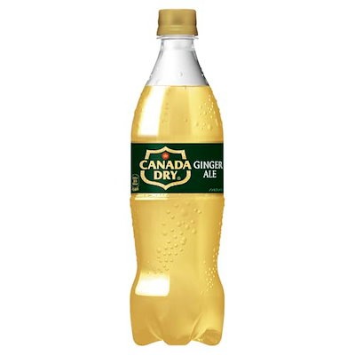 他サイト： コカ・コーラ カナダドライジンジャーエール700mlPET ×20本の商品画像