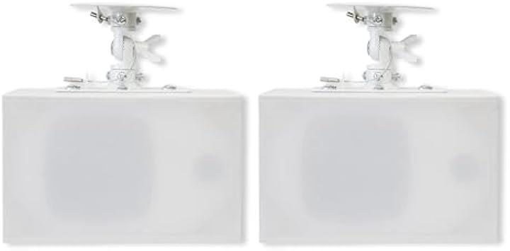 ダイトーボイス 天吊りスピーカー DVT-WD1 シングルスピーカー壁掛け 天井ブラケット付き 定格15w-最大20W 小型 店舗スピーカー 4ω 白ペア( ブラック, ペア)