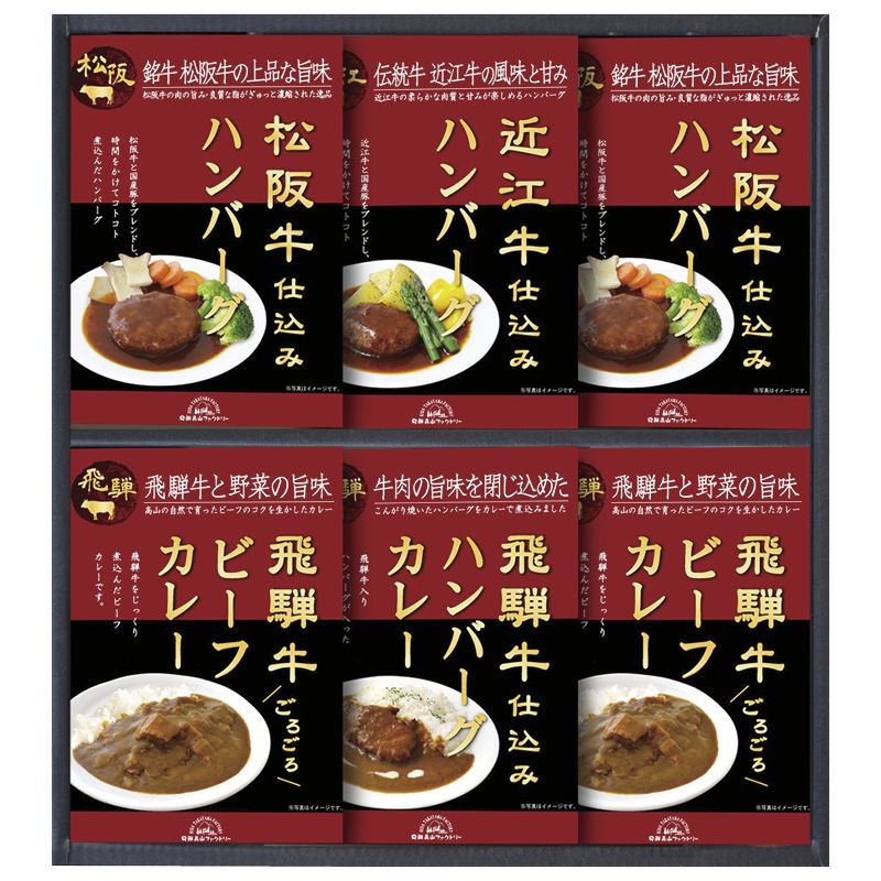 飛騨高山ファクトリー 松阪牛/近江牛/飛騨牛仕込みハンバーグ&カレー詰合せ C-B