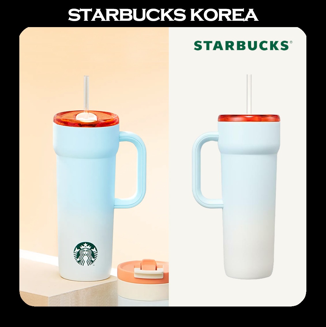 [韓国スターバ] 2026新年 SS Wildtail Dante Tumbler 710ml