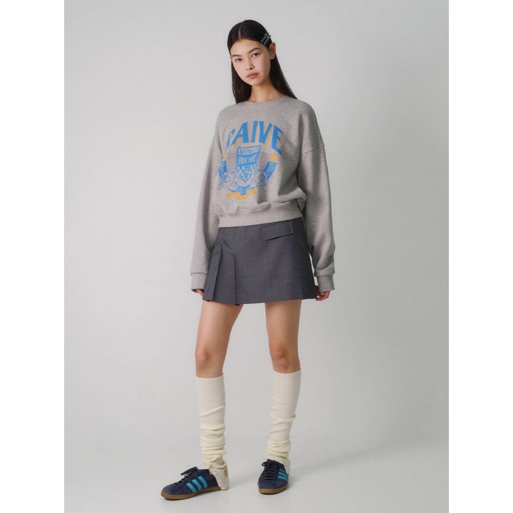 レイヴプリーツミニスカートグレー VW4SS125 12