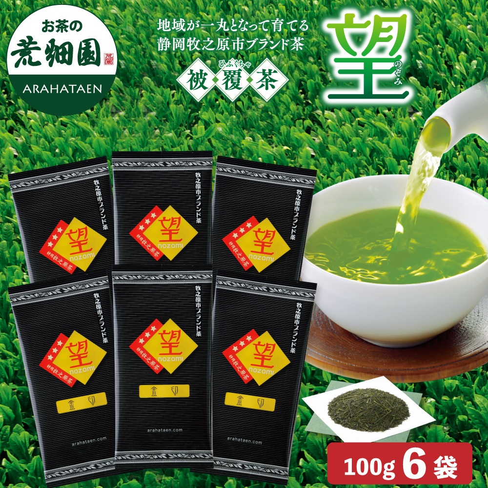 望 金印 100g 6袋セット 茶葉 お茶 お茶の葉 緑茶 深蒸し茶 静岡茶