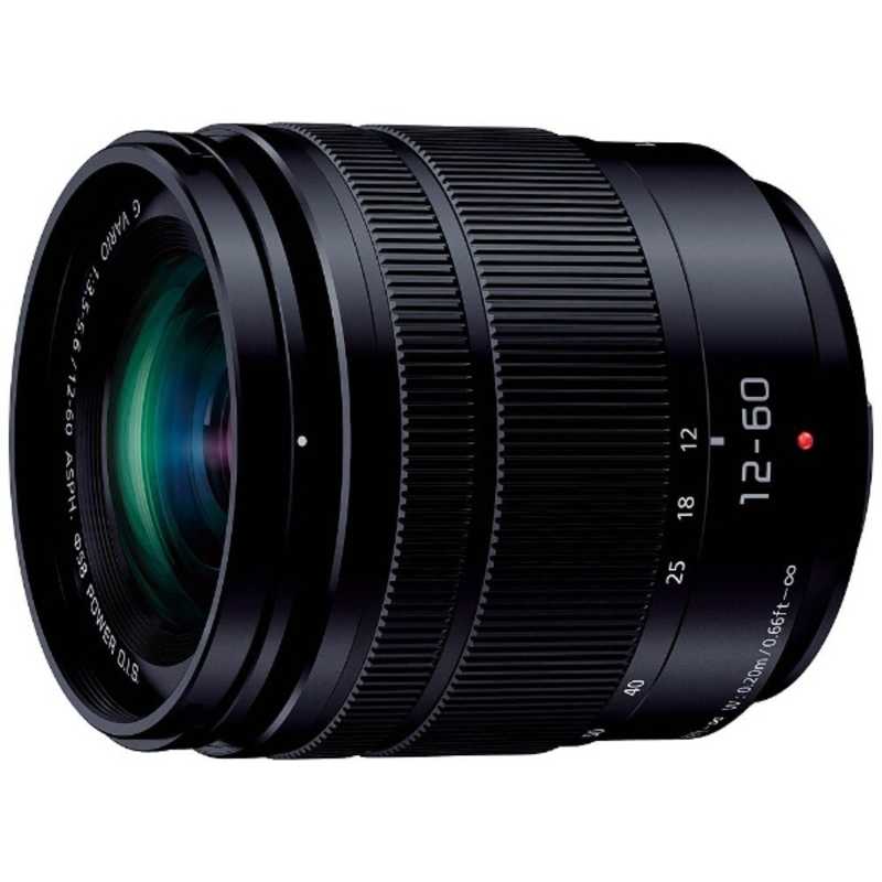LUMIX G VARIO 12-60mm/F3.5-5.6 ASPH./POWER O.I.S. H-FS12060