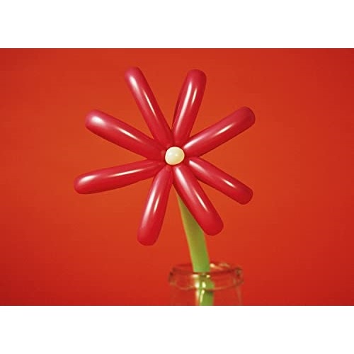 マカロニえんぴつ ／ MACAROCK’N LIVE-1(初回生産限定盤) (DVD) TFBQ-18254