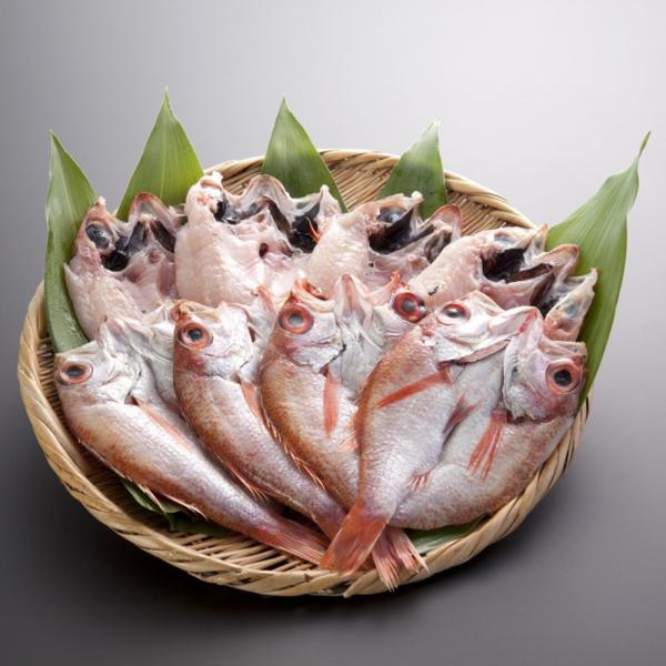 山口 のどぐろ開き干し 8尾セット SISK