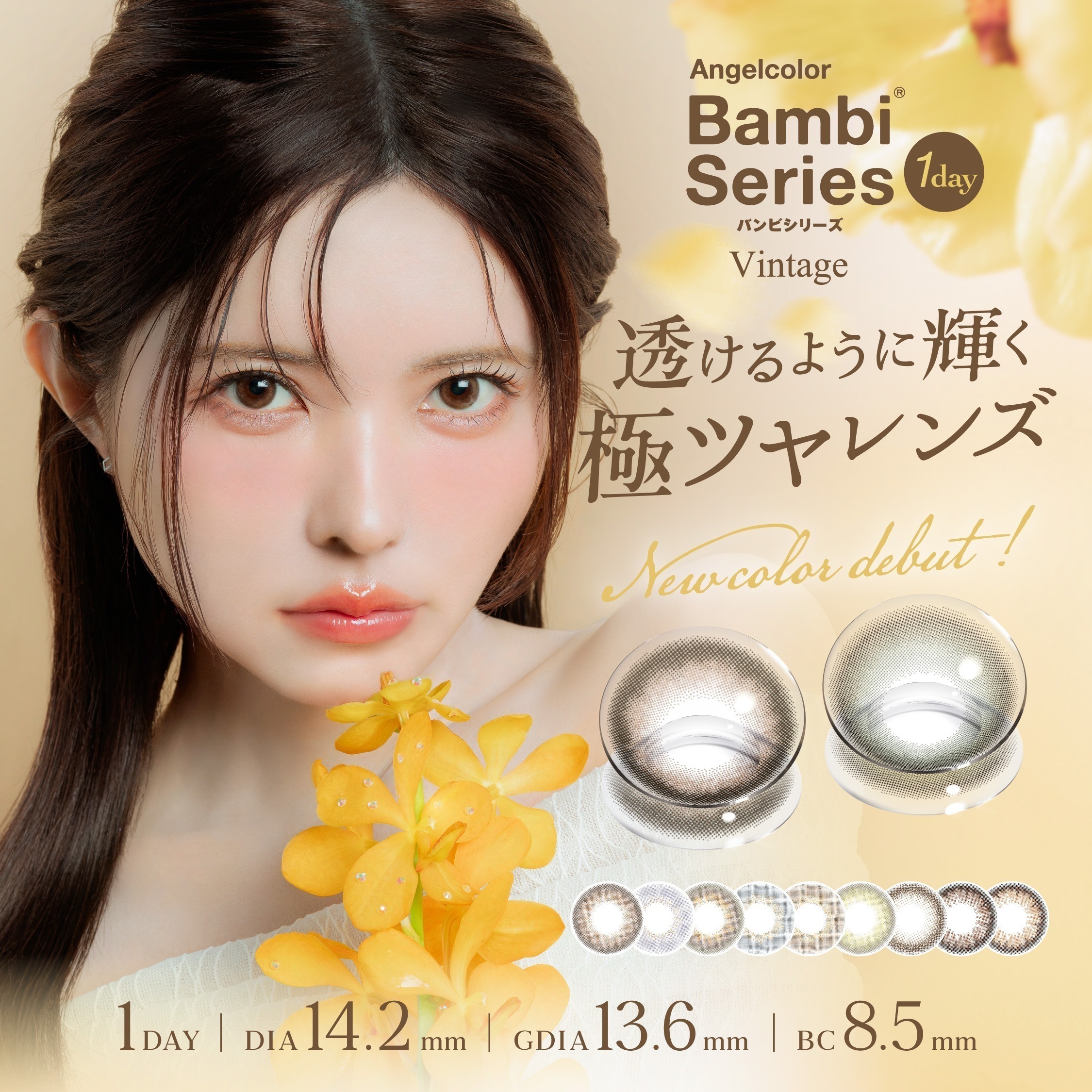 【4箱+2箱プレゼント】計60枚 エンジェルカラー　新色追加エンジェルカラー ワンデーカラコン バンビ ヴィンテージ ナチュラル カラコン 益若つばさ バンビシリーズ　ナチュラルブラウン ナ