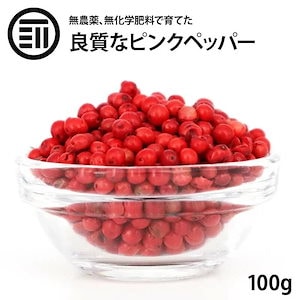 [前田家] ピンクペッパー ホール 100g マダガスカル産 希少 最高品質 無農薬 無化学肥料 胡