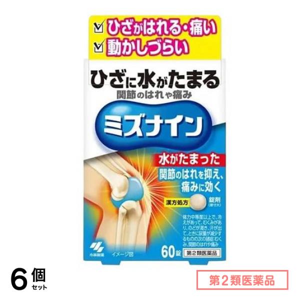 第２類医薬品 ミズナイン 越婢加朮附湯 60錠 6個セット