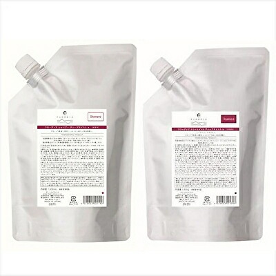 【詰替え2点セット】デミ フローディア ディープモイスト シャンプー 1000ml + トリートメント 1000g 詰替えDEMI FLOWDIA サロン しっとり なめらか ダメージケア BC-T 7,565円