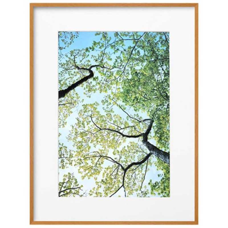 ハクバ　ZEROフレーム G-01 A3ノビ ナチュラル　FZG01A3NNT