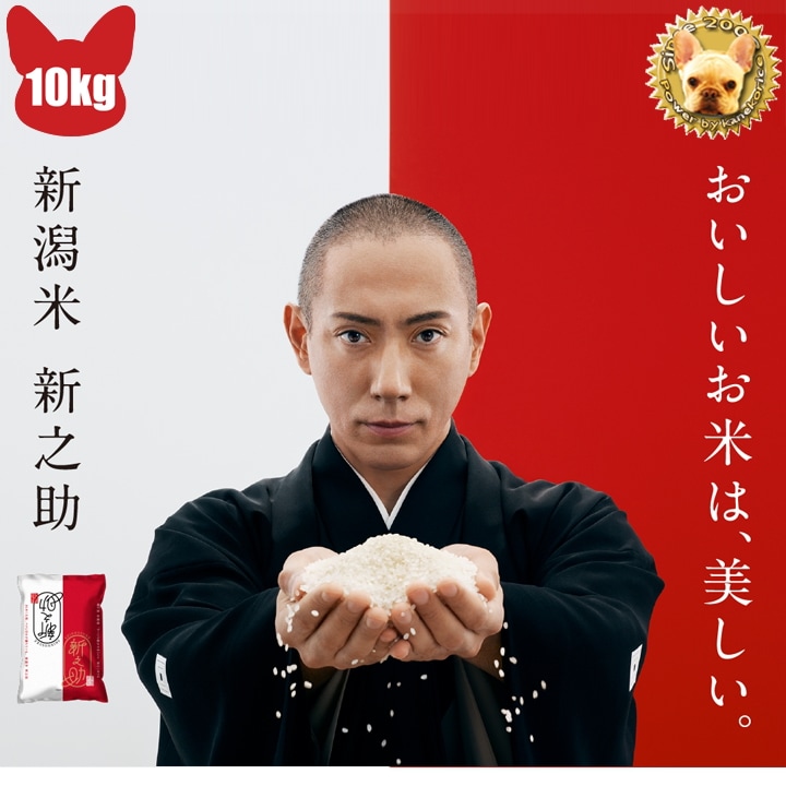 100％の保証 新潟県産 新之介 新潟の新品種(^^)/ 令和3年 玄米10kg 米 - flaviogimenis.com.br