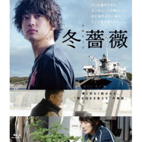 【BLU-R】冬薔薇