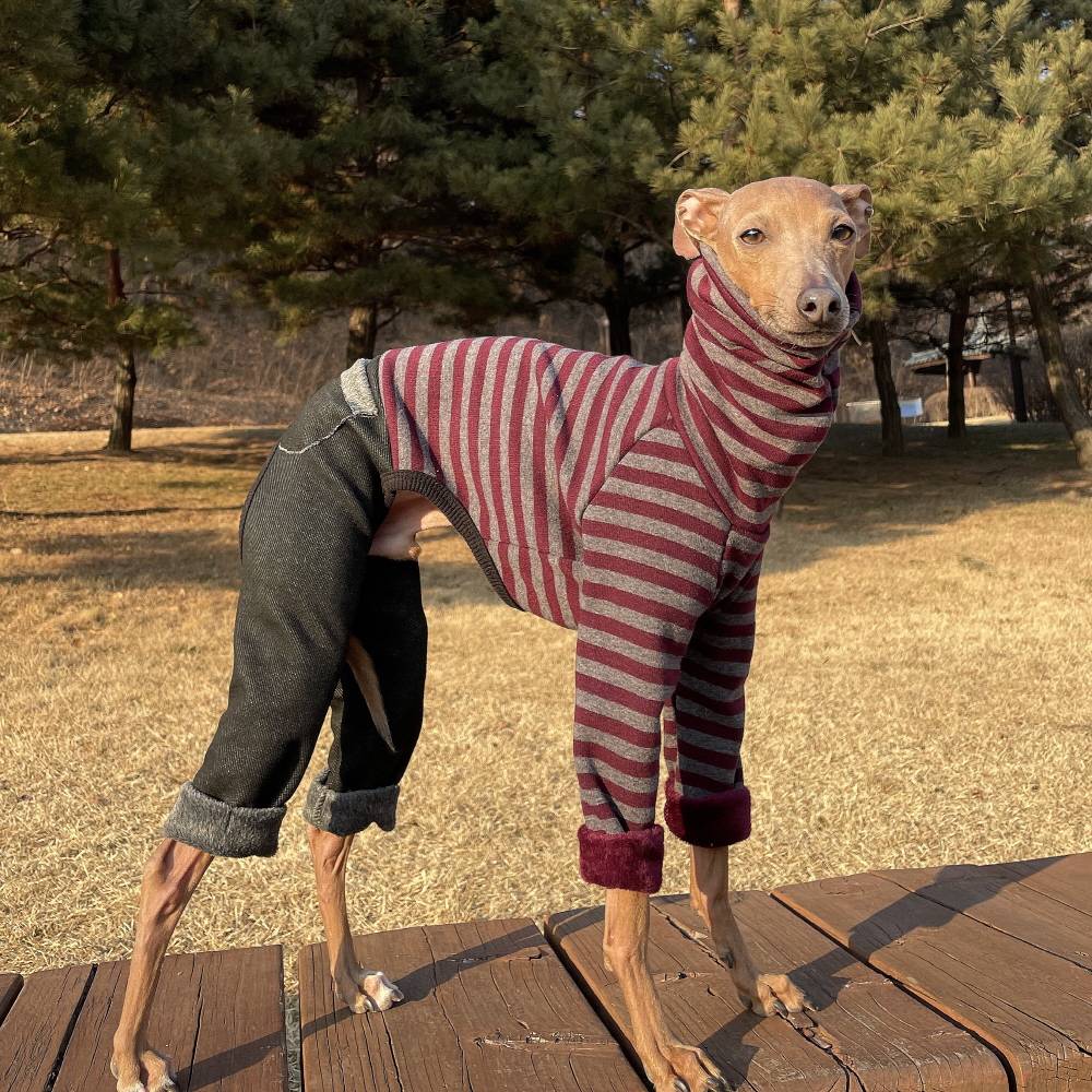 ウィペット服 3XL 起毛 ストライプ デニム ロンパース 大型犬 春夏秋冬 イタリアングレーハウンド服 犬服 ペット服