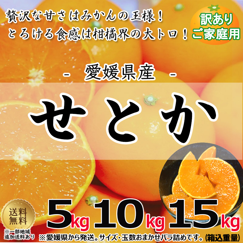 日本最大の せとか 佐賀県 愛媛県産 箱込み5kg 大きさおまかせ 柑橘