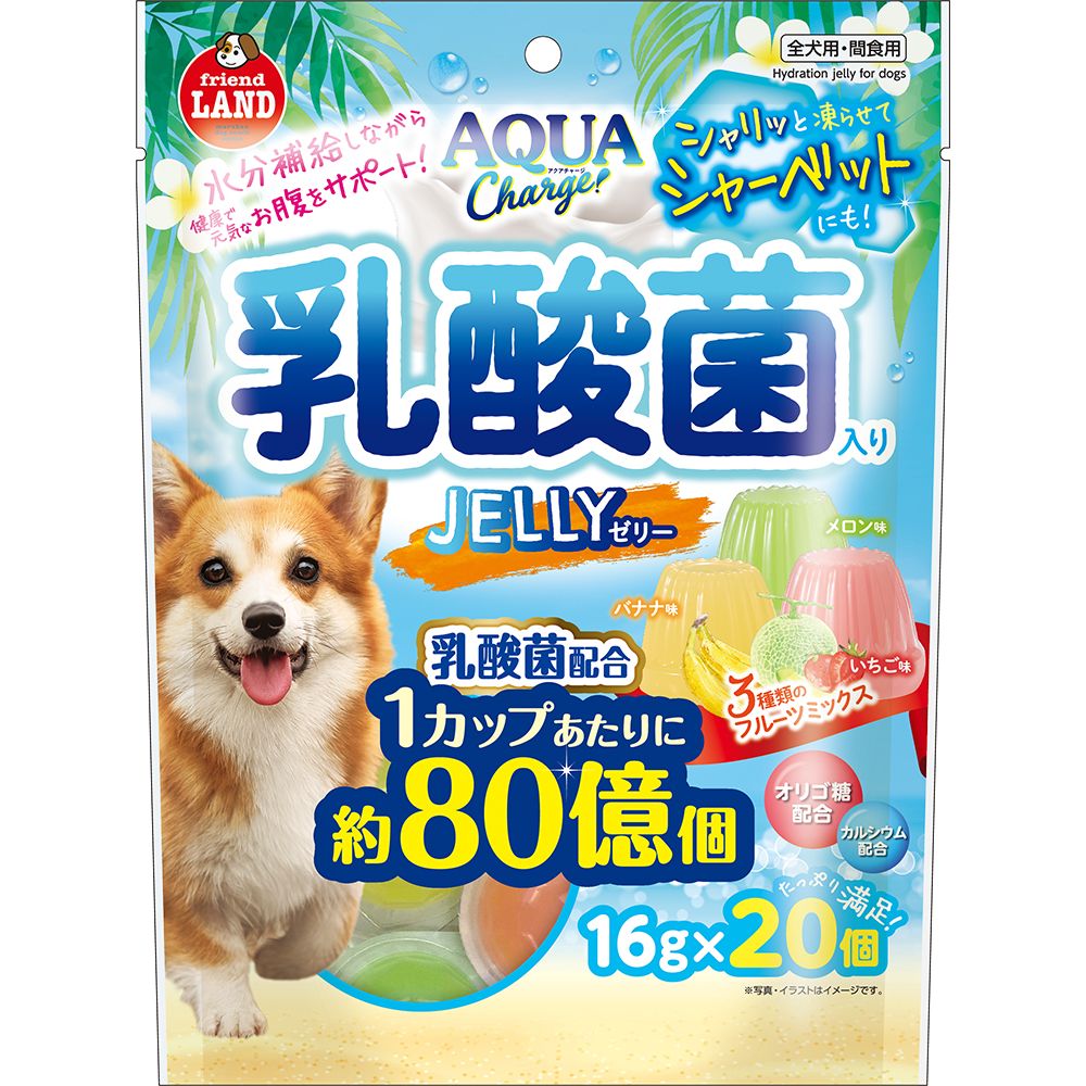 （まとめ買い）アクアチャージ乳酸菌入りゼリー 16gx20個 犬用おやつ [x12]